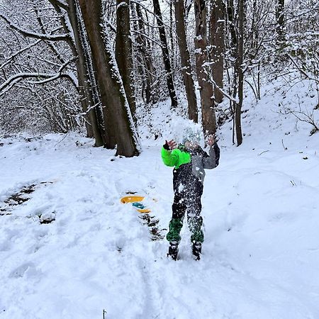 Vila Srub V Bolkovskem Udoli Rudník Exteriér fotografie