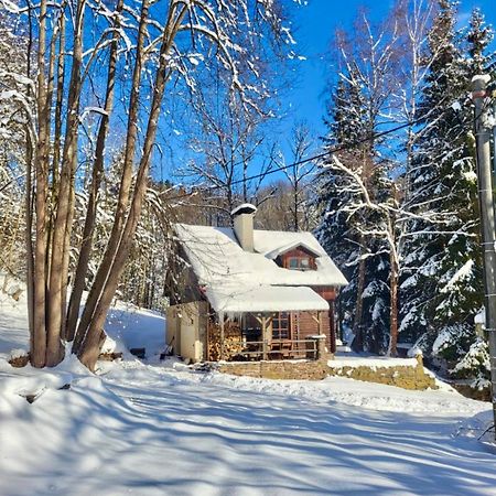 Vila Srub V Bolkovskem Udoli Rudník Exteriér fotografie