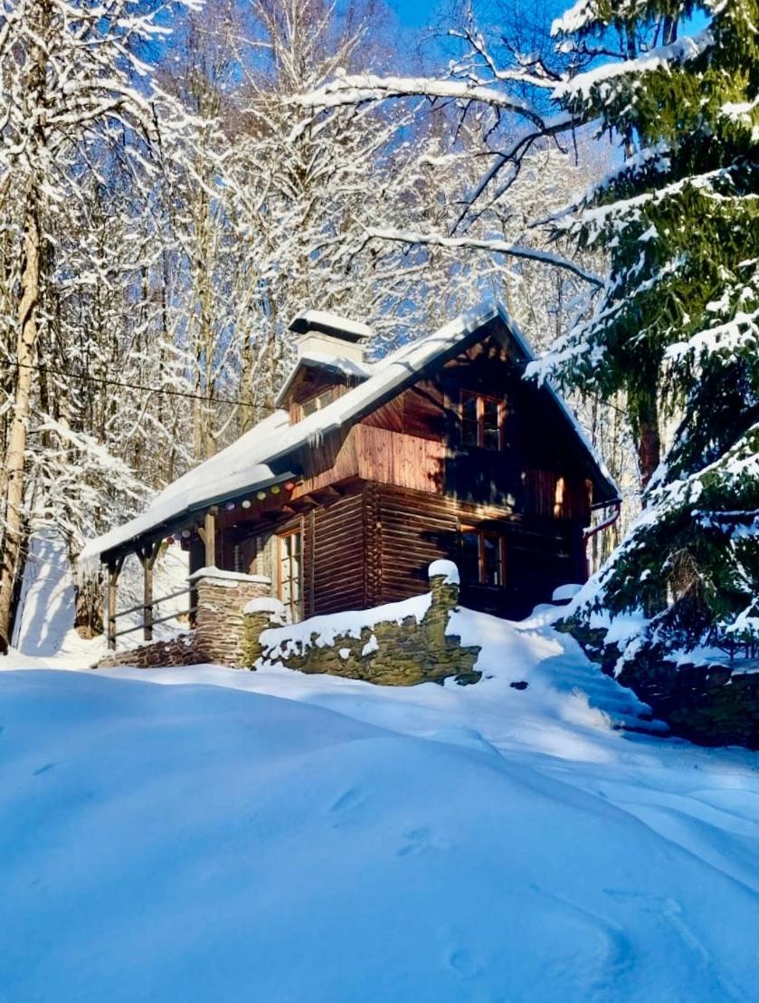 Vila Srub V Bolkovskem Udoli Rudník Exteriér fotografie