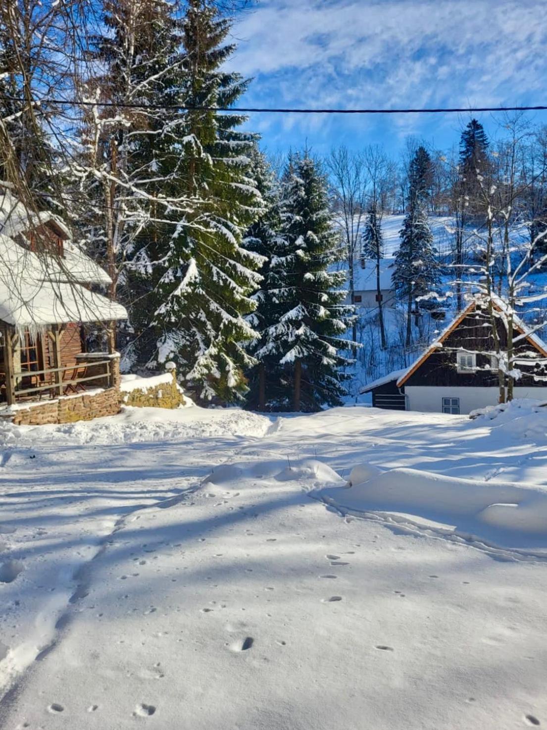 Vila Srub V Bolkovskem Udoli Rudník Exteriér fotografie