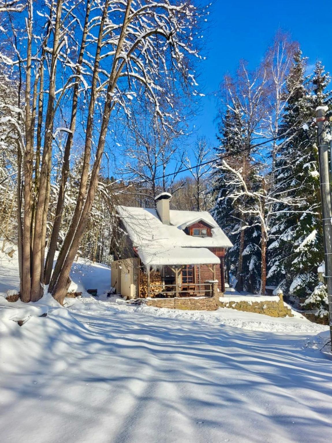 Vila Srub V Bolkovskem Udoli Rudník Exteriér fotografie